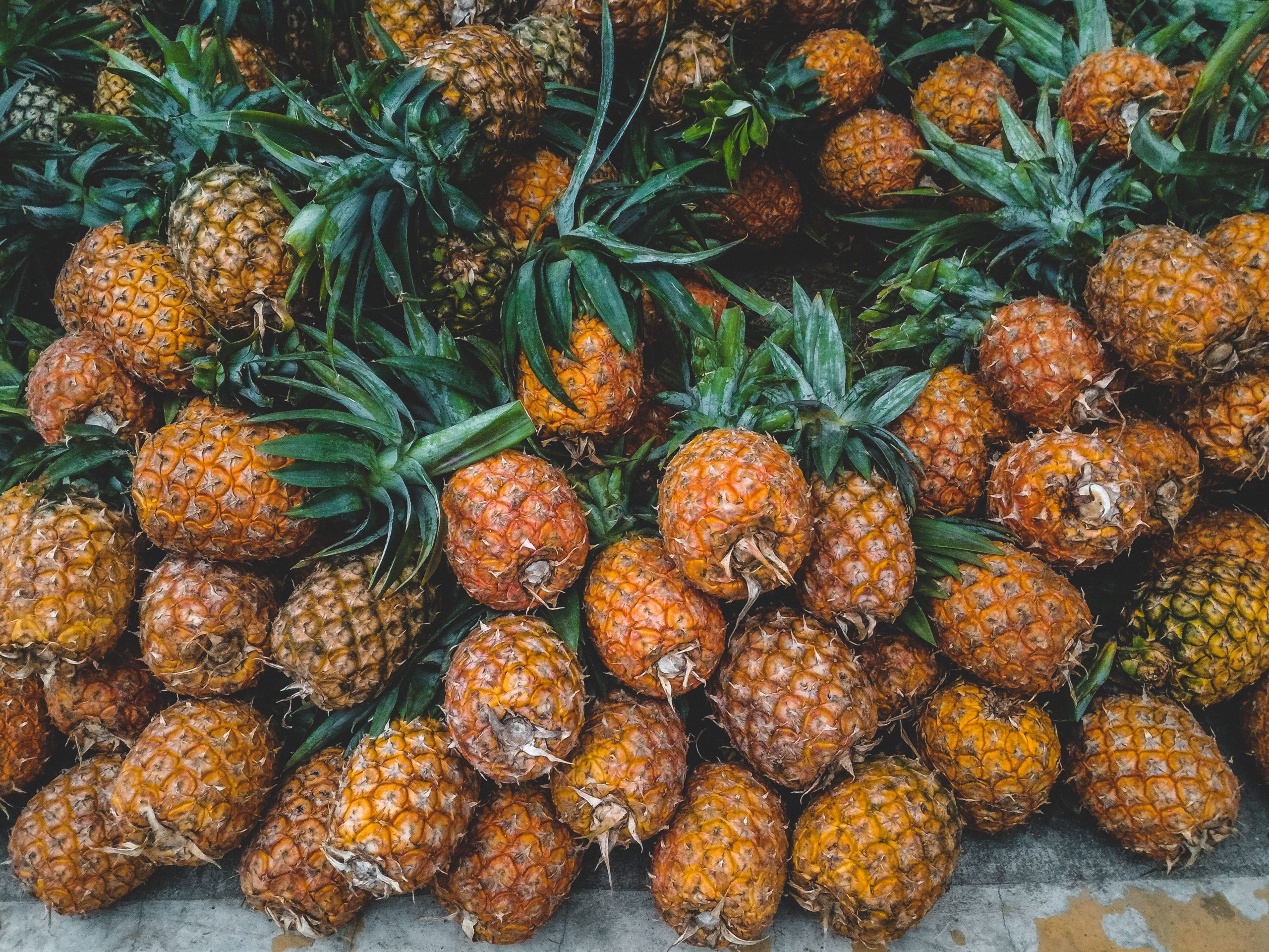 Agro Bantou : Une entreprise locale au cœur de l'innovation agroalimentaire